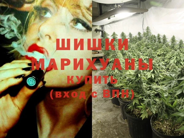 эйфоретик Алексин