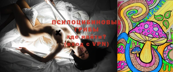 a pvp Алзамай