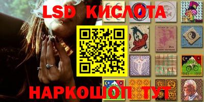 эйфоретик Будённовск