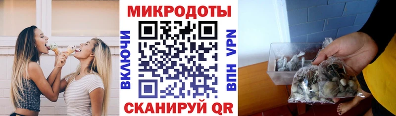 Галлюциногенные грибы Magic Shrooms  нарко площадка формула  Елизово  закладка  omg маркетплейс 