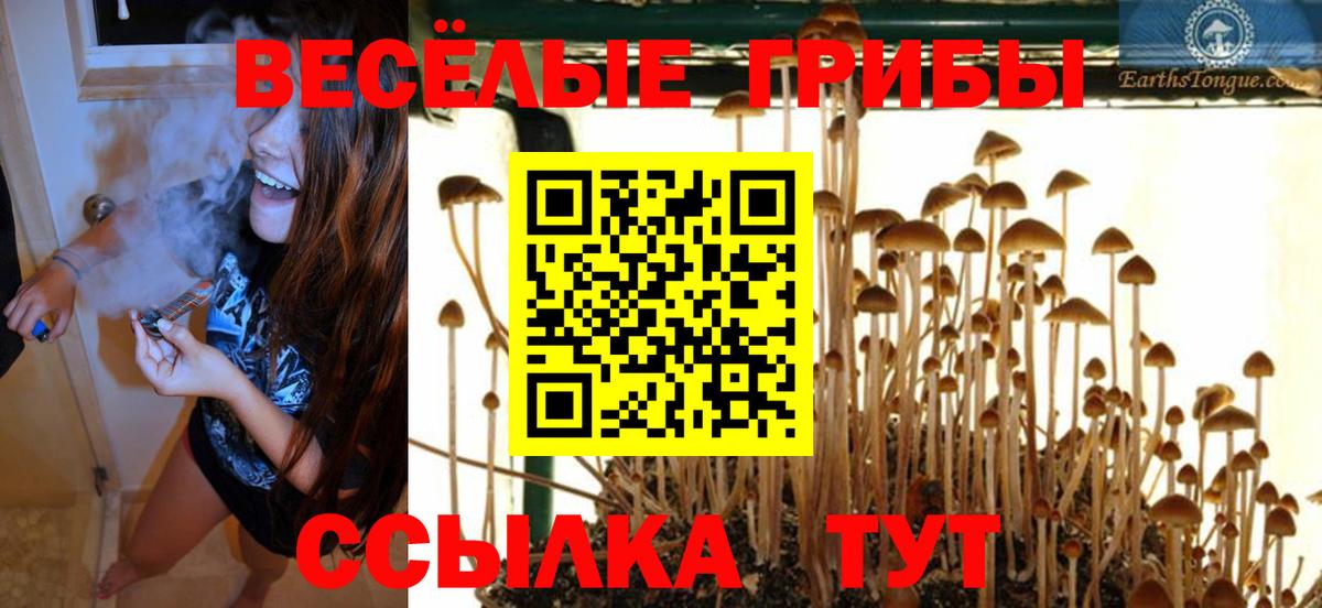 наркотики  Галлюциногенные грибы GOLDEN TEACHER  Вход с VPN  Елизово 